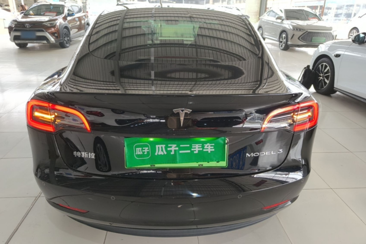 Tesla Model 3 2021 car image #6