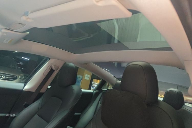 Tesla Model 3 2022 car image #20