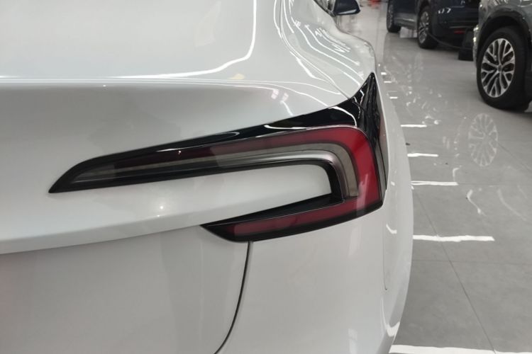 Tesla Model 3 2024 #8 Tesla Model 3 2024 car image #8