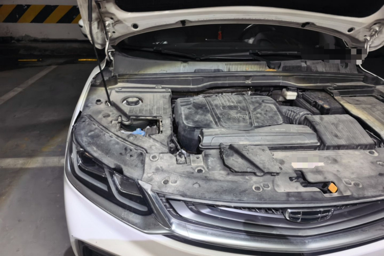 GEELY Coolray 2019 immagine di auto #22