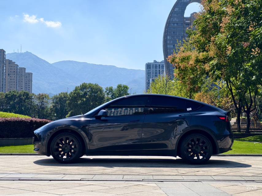 Tesla Model Y 2024 imagen de coche #3