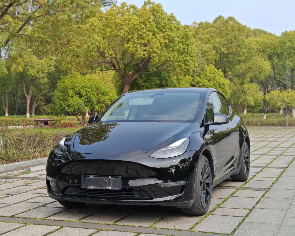 Tesla Model Y 2022 car image 