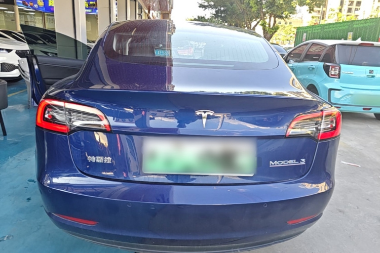 Tesla Model 3 2020 car image #6