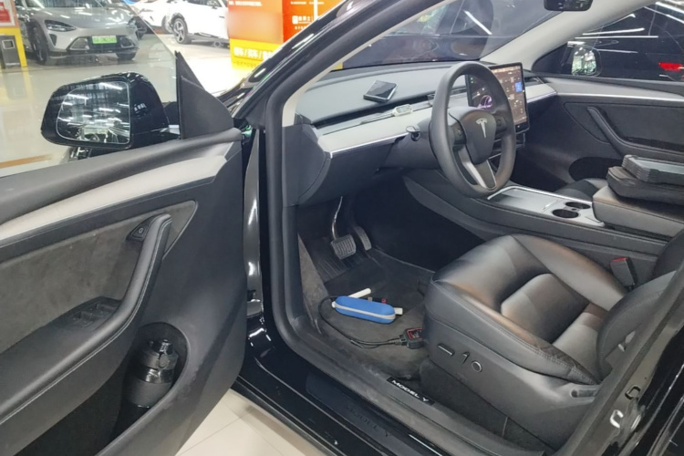 Tesla Model Y 2024 imagem de carro #16