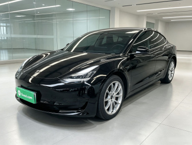 Tesla Model 3 2020 car image 