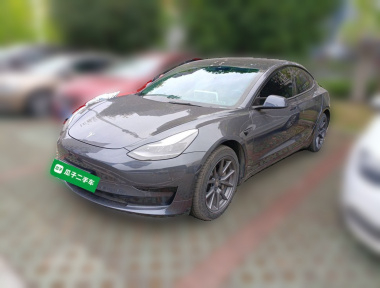 Tesla Model 3 2021 Tesla Model 3 2021 car image