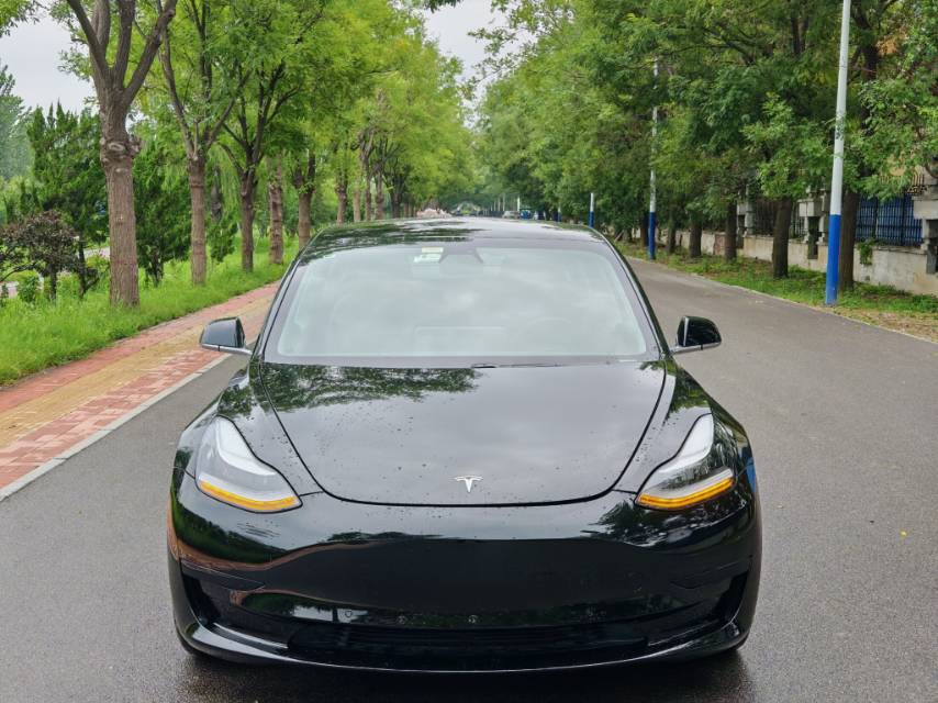 Tesla Model 3 2020 car image #2