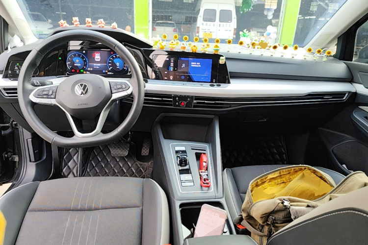 Volkswagen Golf 2022 car image #11