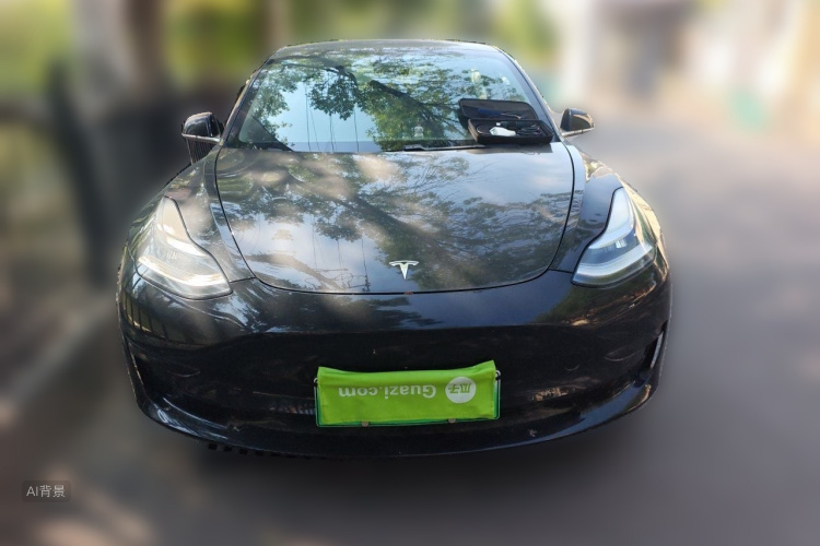 Tesla Model 3 2020 immagine di auto #3