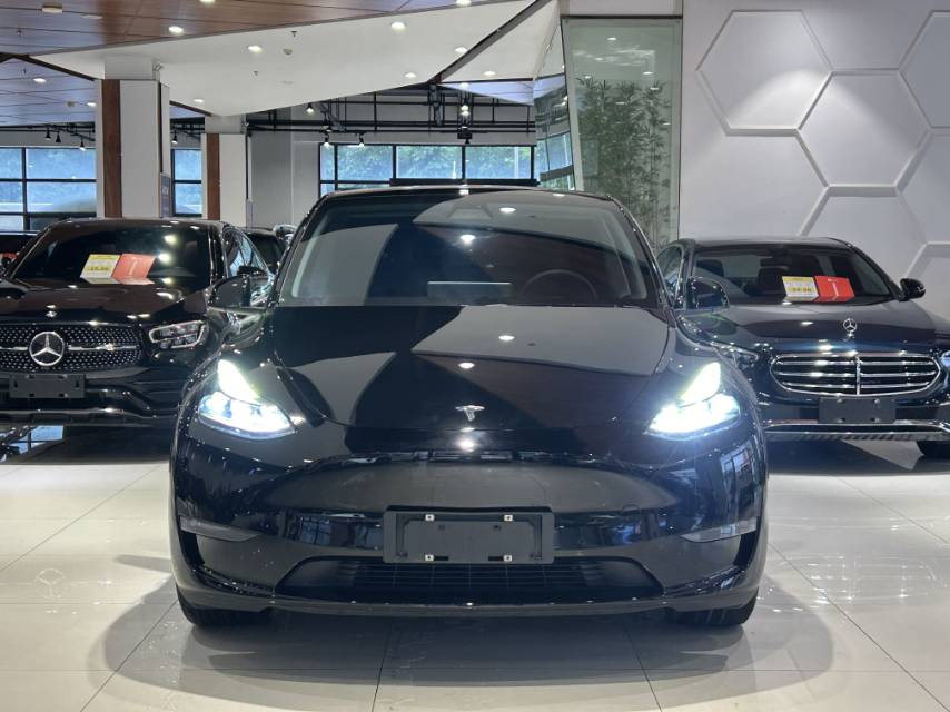 Tesla Model Y 2021 #2 Tesla Model Y 2021 car image #2