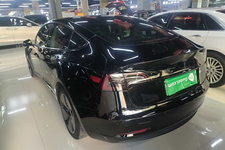 Tesla Model 3 2021 immagine di auto #7