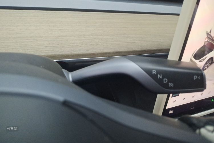 Tesla Model Y 2023 car image #16