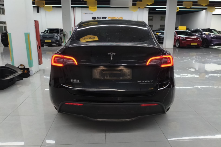 Tesla Model Y 2021 #6 Tesla Model Y 2021 car image #6