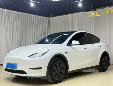 Tesla Model Y 2024 Tesla Model Y 2024 car image