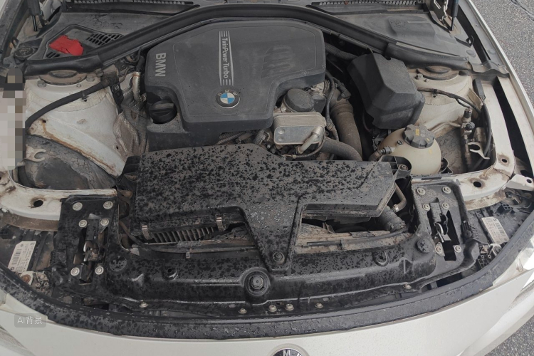 BMW 3 Series 2016 car image #22