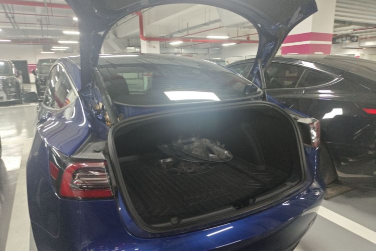 Tesla Model 3 2021 صورة سيارة #21