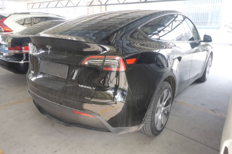 Tesla Model Y 2023 #7 Tesla Model Y 2023 car image #7