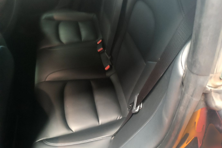 Tesla Model 3 2020 car image #17