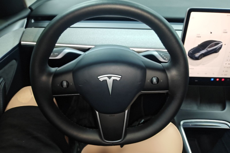 Tesla Model Y 2024 immagine di auto #15