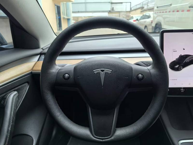 Tesla Model 3 2021 #6 Tesla Model 3 2021 car image #6