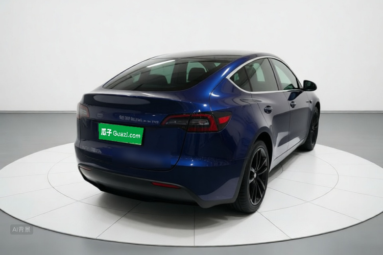 Tesla Model Y 2021 car image #6