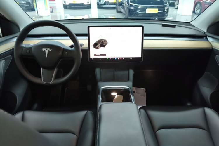 Tesla Model Y 2021 #10 Tesla Model Y 2021 car image #10