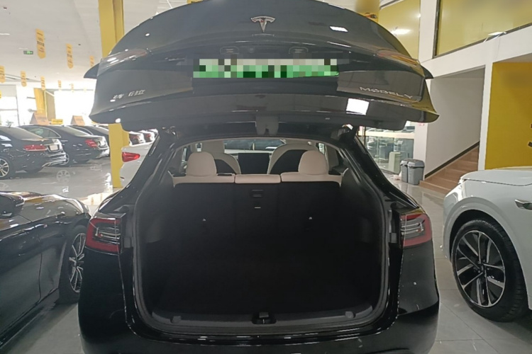 Tesla Model Y 2021 car image #21