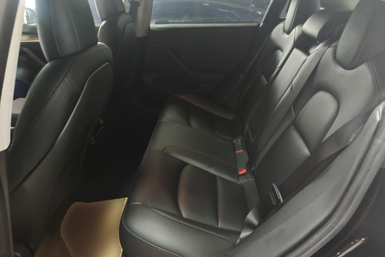 Tesla Model 3 2021 #13 Tesla Model 3 2021 car image #13