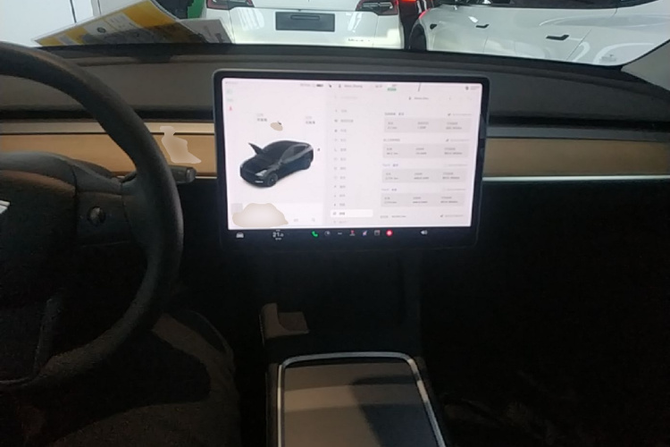 Tesla Model Y 2021 car image #10