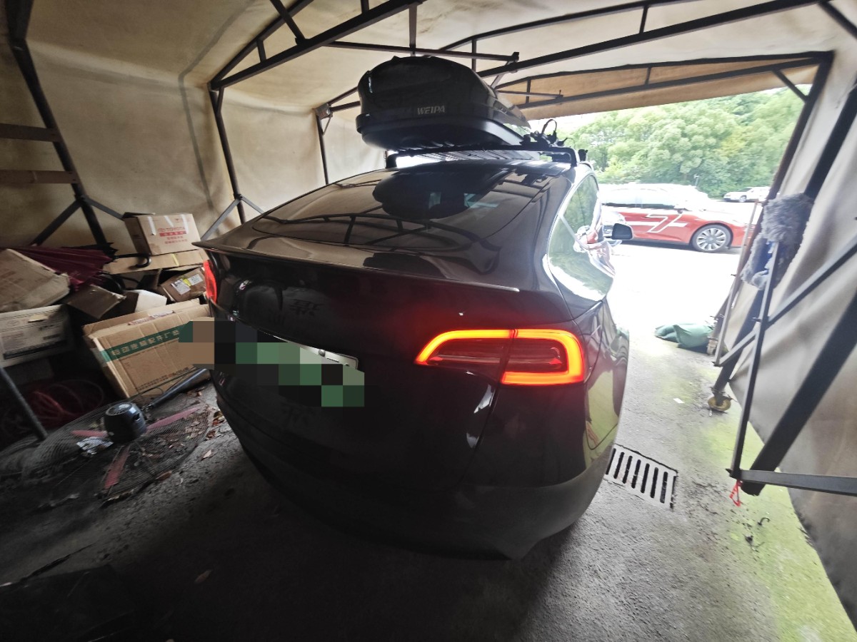 Tesla Model Y 2021 #3 Tesla Model Y 2021 car image #3