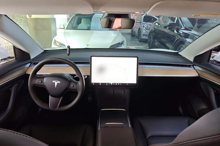 Tesla Model 3 2021 immagine di auto #10