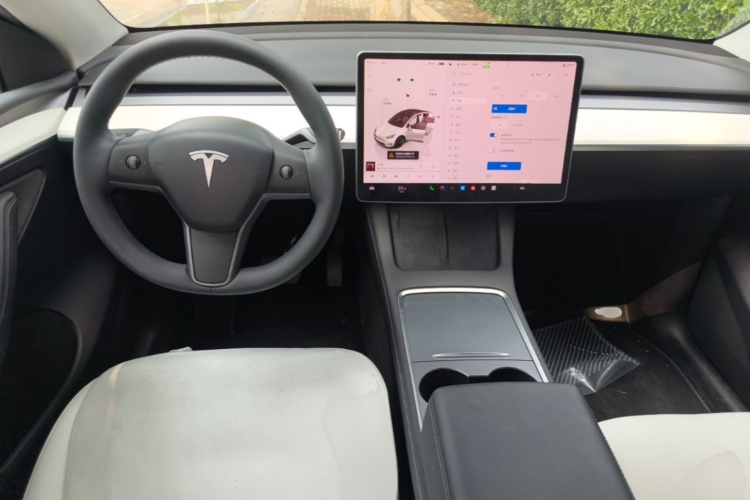 Tesla Model Y 2022 car image #10