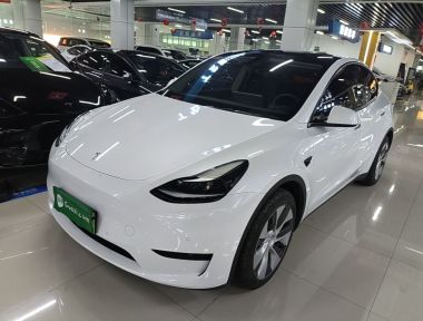 Tesla Model Y 2022 Tesla Model Y 2022 car image