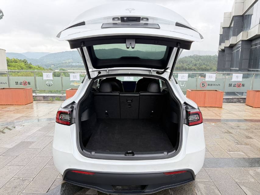 Tesla Model Y 2021 car image #13