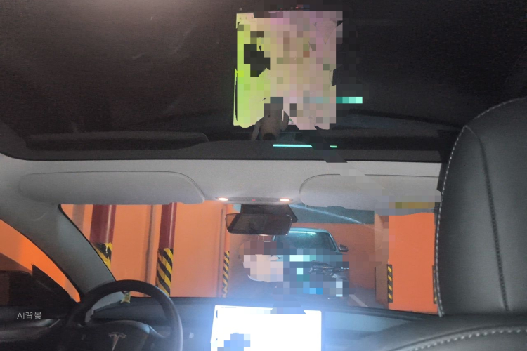 Tesla Model 3 2021 car image #20