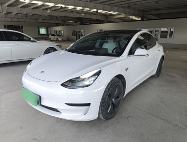 Tesla Model 3 2020 Tesla Model 3 2020 car image