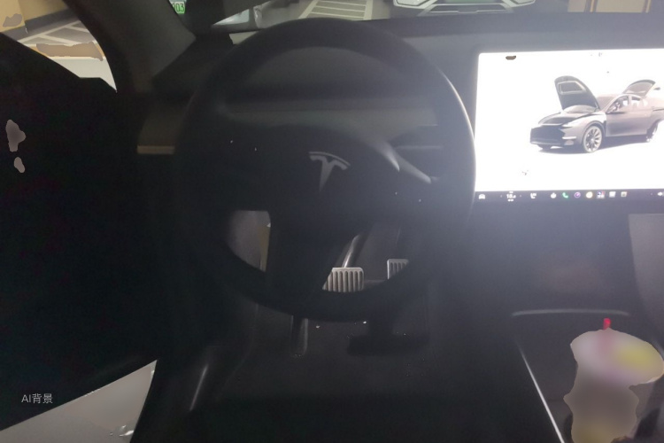 Tesla Model Y 2022 car image #12