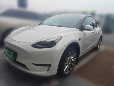 Tesla Model Y 2022 car image 