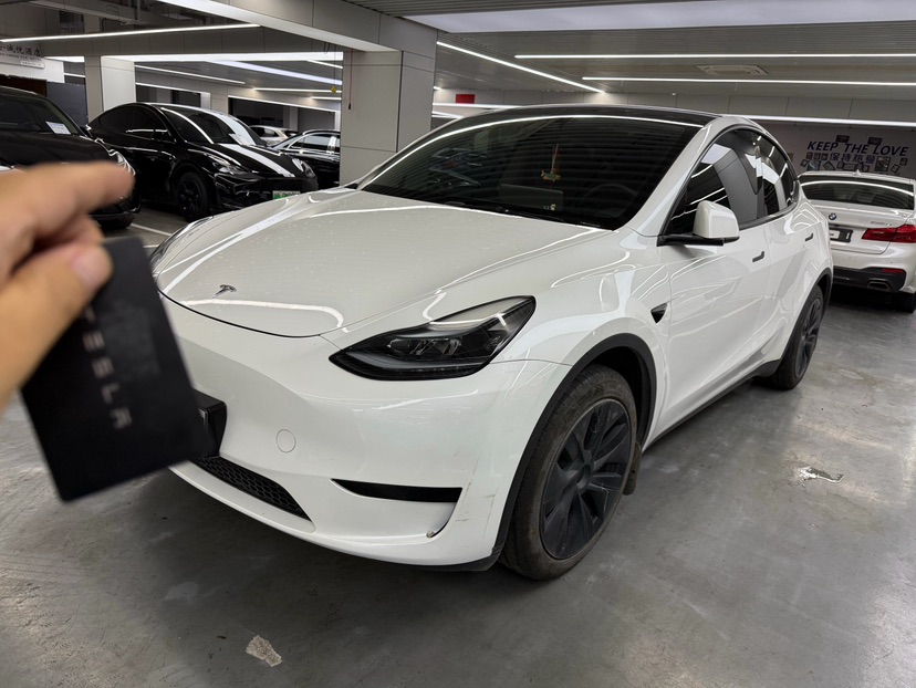 Tesla Model Y 2024 immagine di auto 