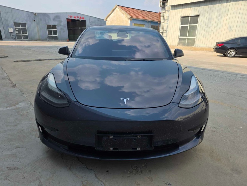 Tesla Model 3 2021 #2 Tesla Model 3 2021 car image #2