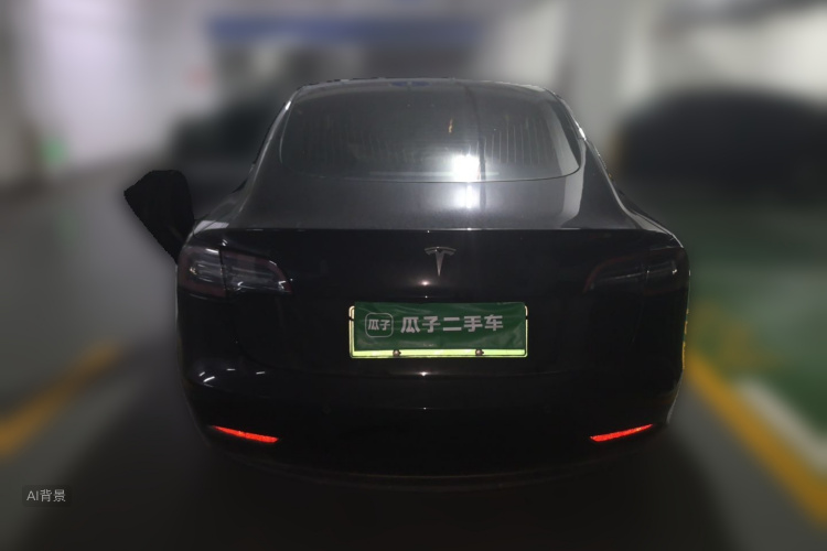 Tesla Model 3 2020 car image #6