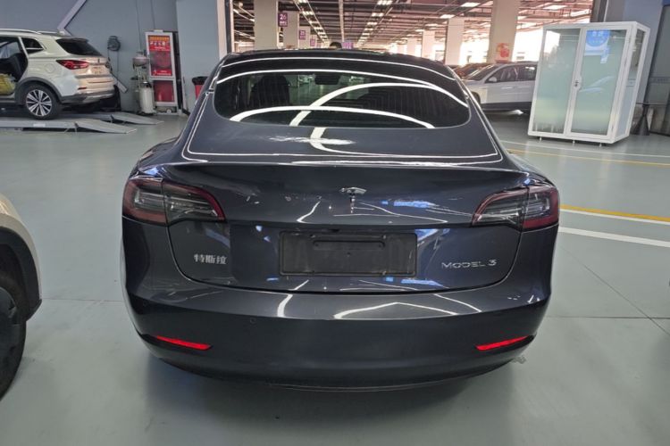 Tesla Model 3 2020 car image #6