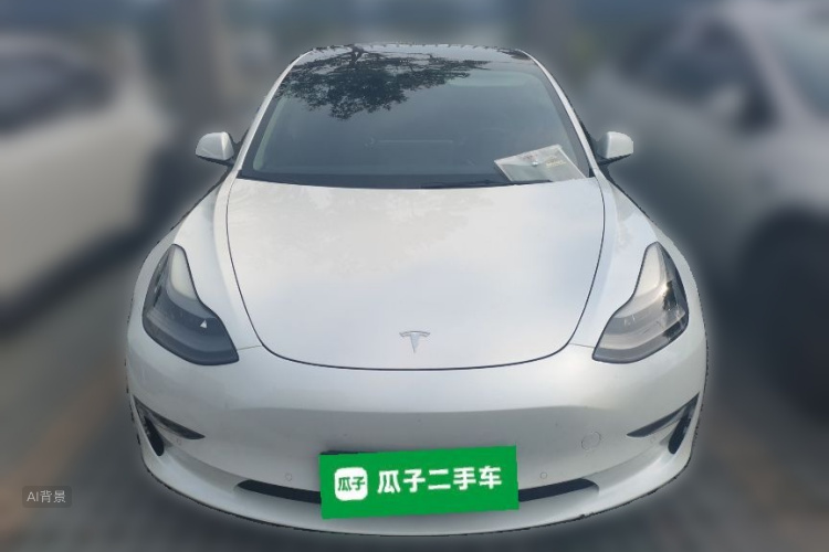 Tesla Model 3 2021 #3 Tesla Model 3 2021 car image #3