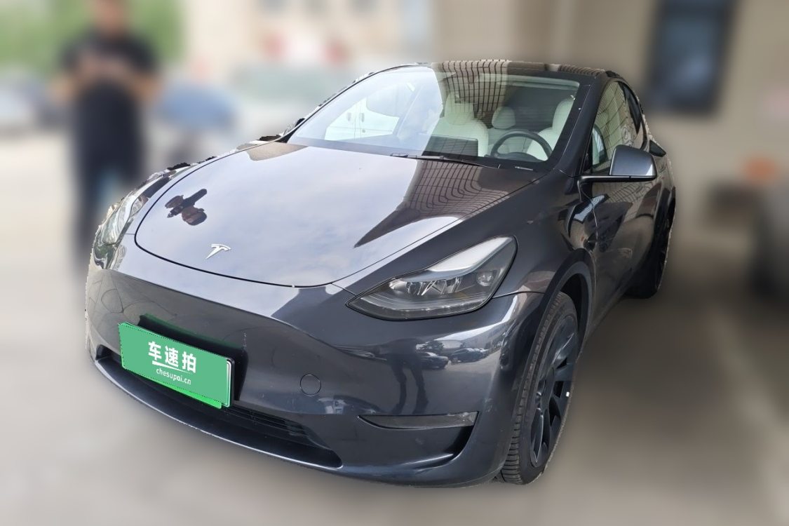 Tesla Model Y 2024 car image 