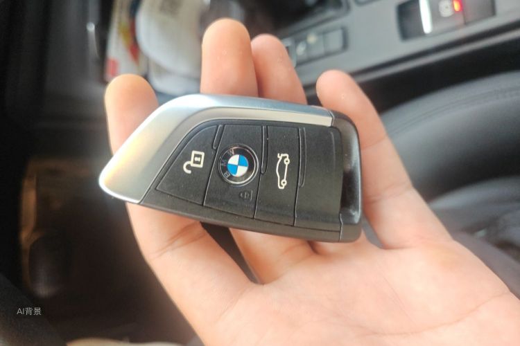 BMW X1 2017 car image #10