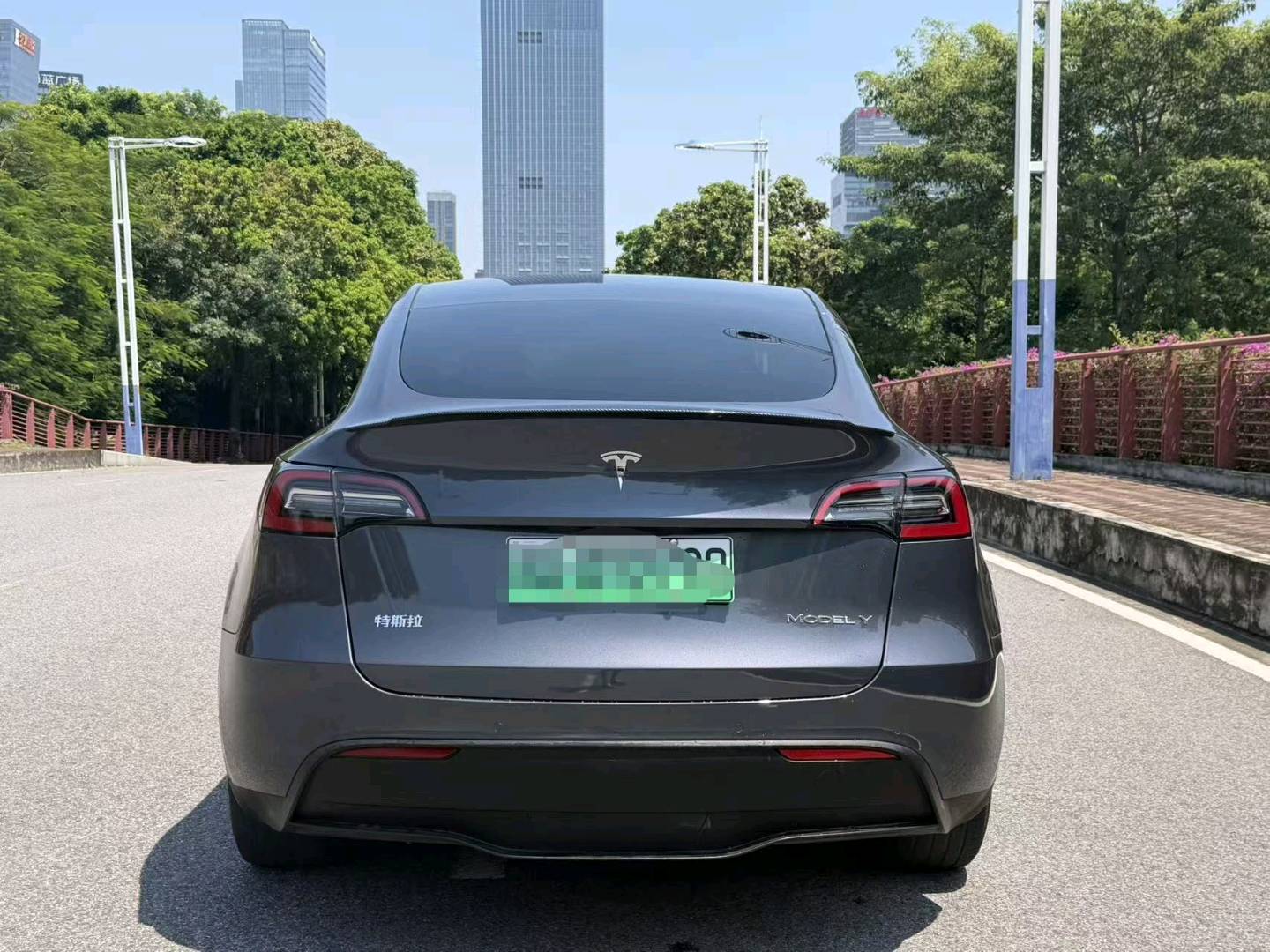 Tesla Model Y 2021 car image #6
