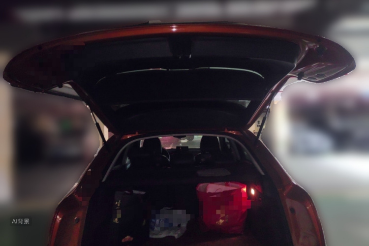 奥迪 奥迪Q3 2015 汽车图片 #21