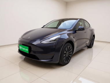 Tesla Model Y 2024 Tesla Model Y 2024 car image