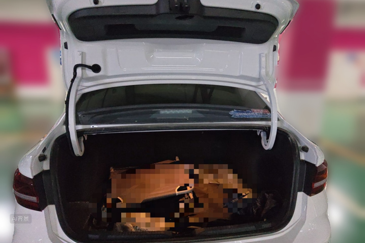 Volkswagen Lavida 2025 car image #21