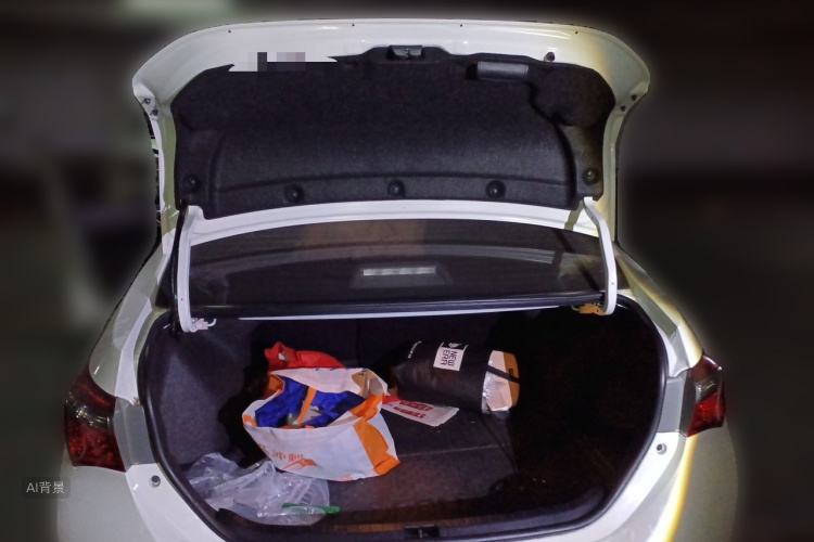 Toyota Corolla 2018 car image #21